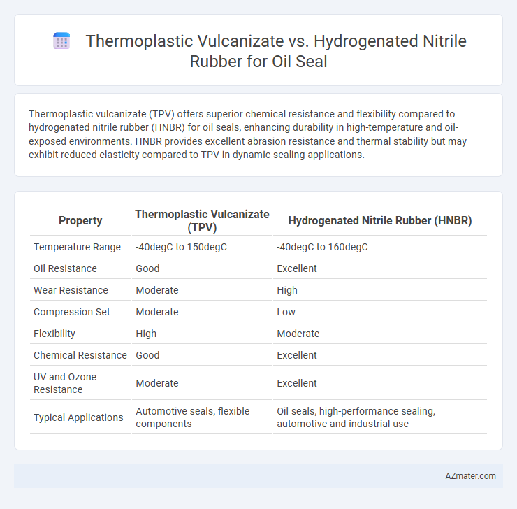 Thermoplastic Vulcanizate vs. Hydrogenated Nitrile Rubber for Oil Seal - What is The Difference?