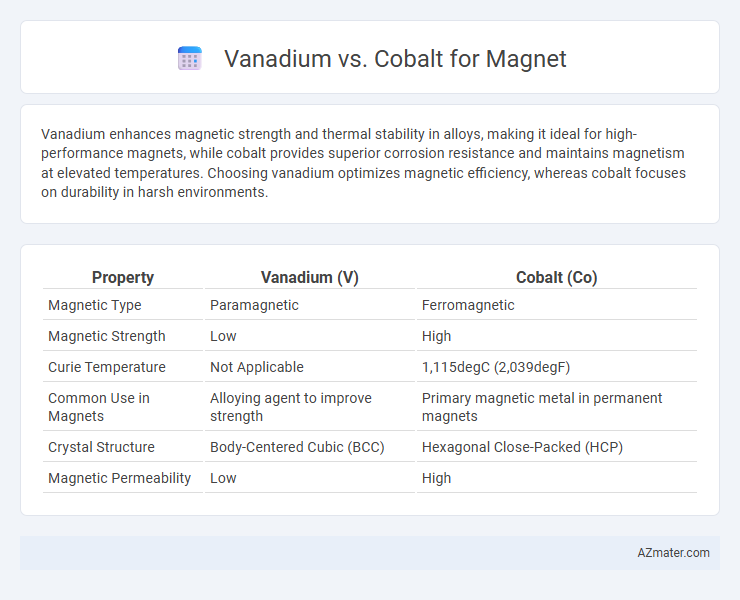 Vanadium vs. Cobalt for Magnet - What is The Difference?