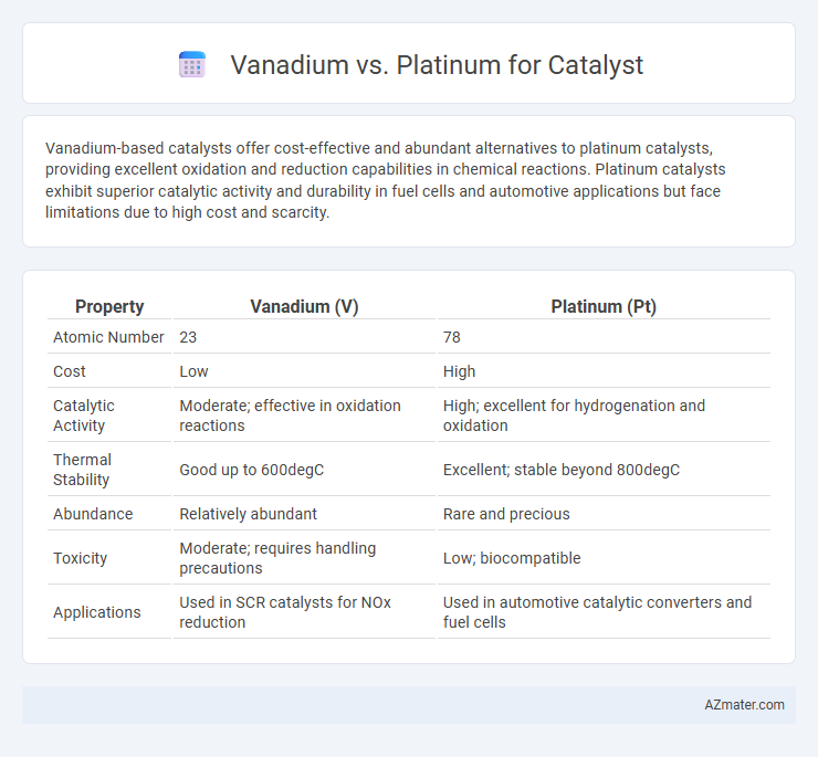 Vanadium vs. Platinum for Catalyst - What is The Difference?