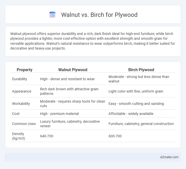 Walnut vs. Birch for Plywood - What is The Difference?