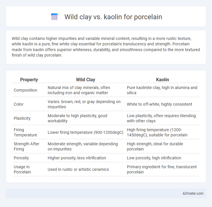 Wild clay vs. kaolin for porcelain - What is The Difference?