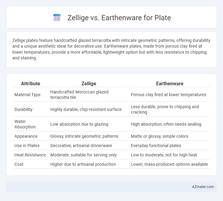 Zellige vs. Earthenware for Plate - What is The Difference?