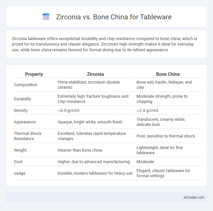 Zirconia vs. Bone China for Tableware - What is The Difference?